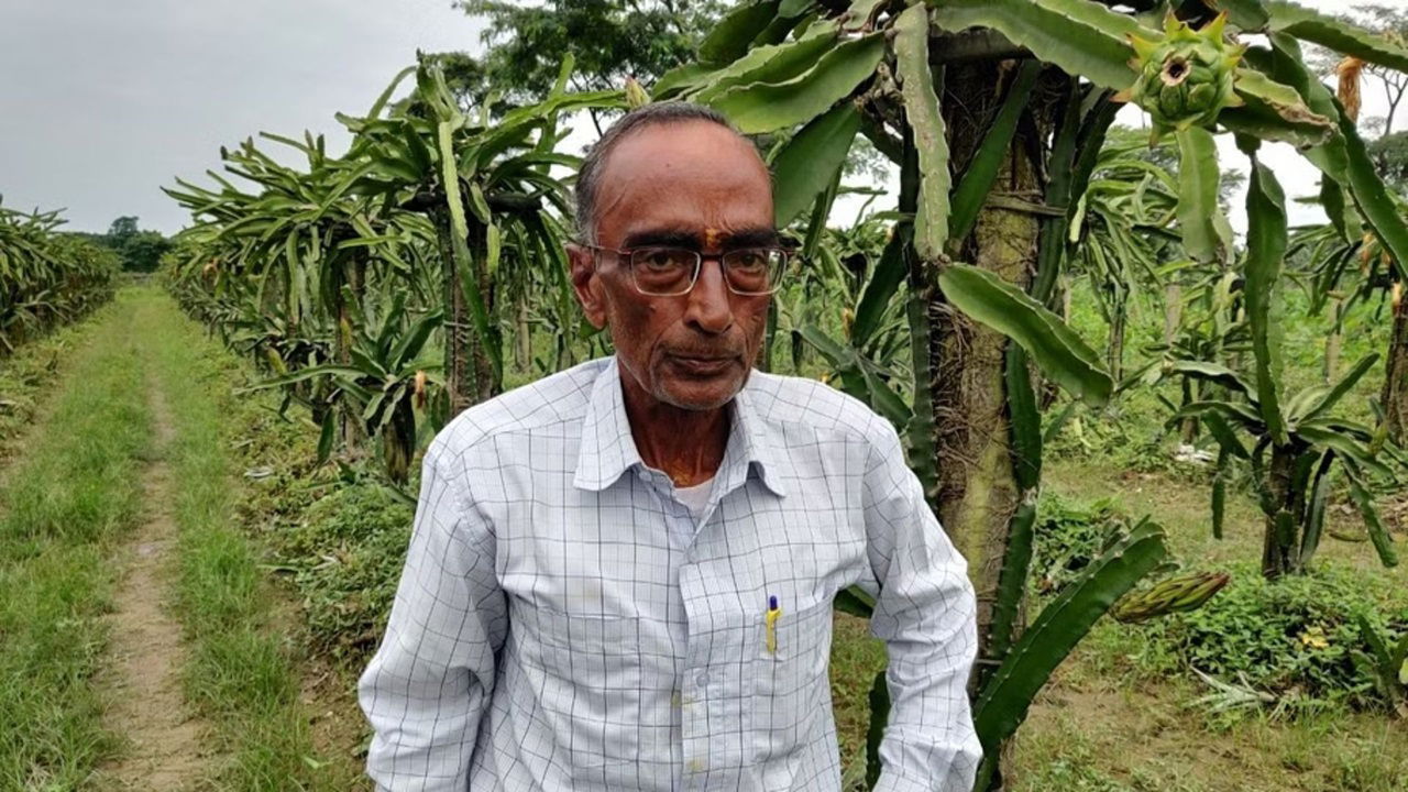 Nagaraj Nakhat, a 76-year-old farmer from Kishanganj, Bihar, has inspired countless others to adopt smart farming methods.