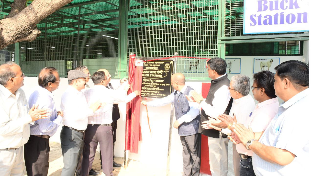 Dr. Himanshu Pathak, DG, ICAR inaugurates Buck Station at the AICRP Jamunapari farm unit (Photo Source: @icarindia/X)