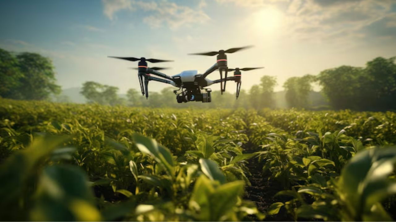 Drone surveying a crop field (Representational Image Source: Freepik)