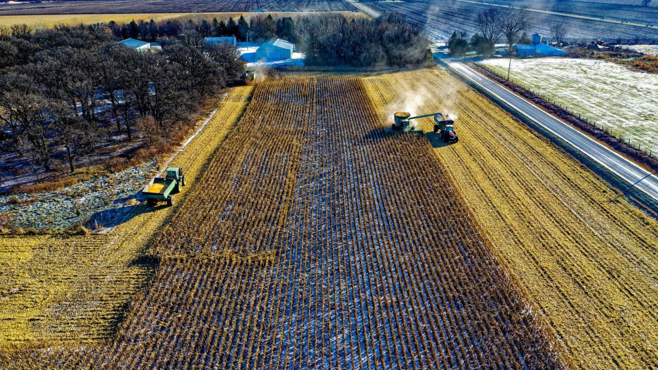 Harvesting (Representational Image Source: Pexels)