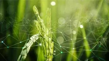 Electro-Agriculture: Revolutionizing Food Production with Minimal Land and No Sunlight