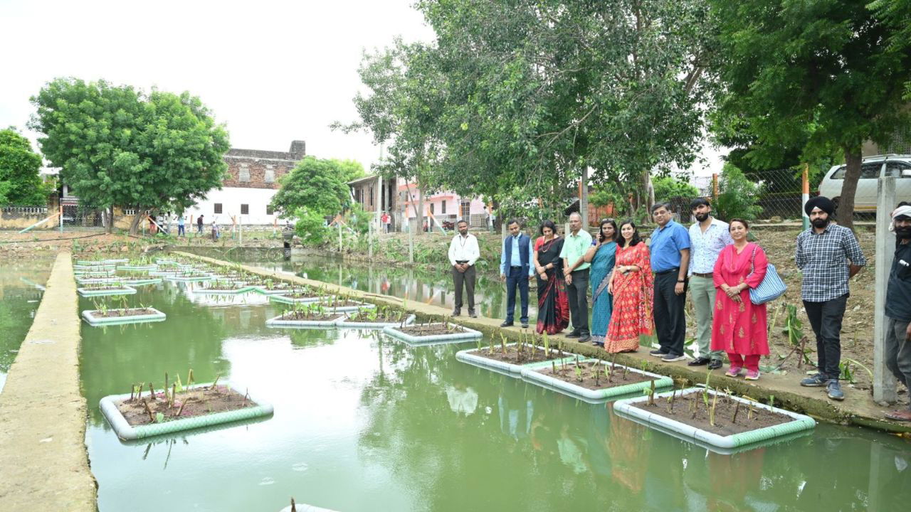 Constructed Wetlands at the main pond mimic natural processes, helping to restore local ecosystems while managing wastewater (Photo Source: https://dst.gov.in/)