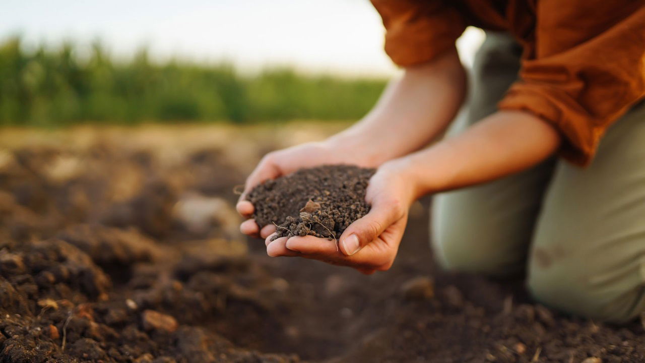 Representational image of Garden Soil (Photo Source: Pixabay)