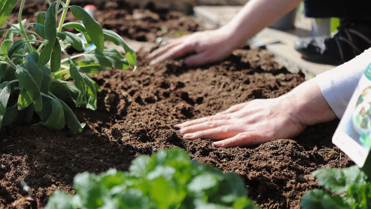 Soil scientists call humus the "pantry" of essential nutrients, fueling healthy plant growth. (Photo Source: Pixabay)