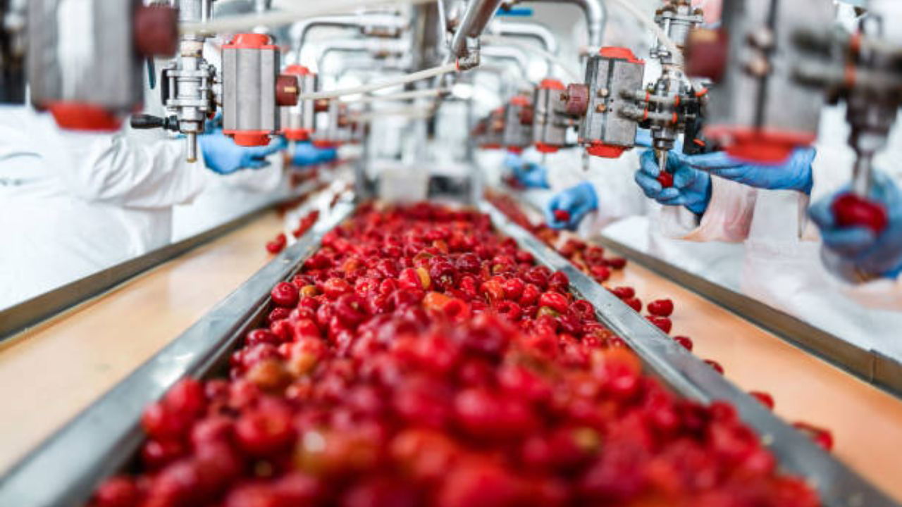 Representational Image of Food Processing Sector (Source: Pexels)