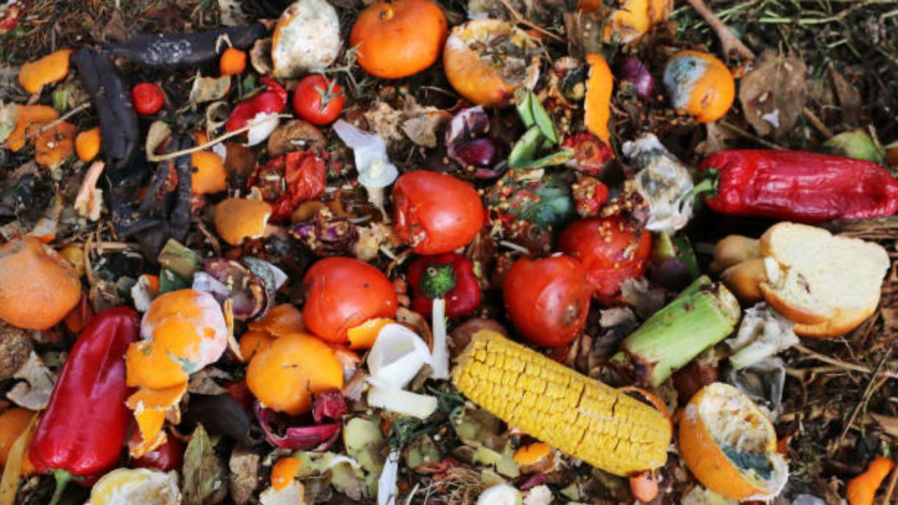 Representational Image showing problem of food waste (Source: Pexels)