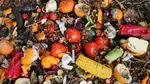 New Study Reveals Age-Related Patterns in Food Waste and Emissions 