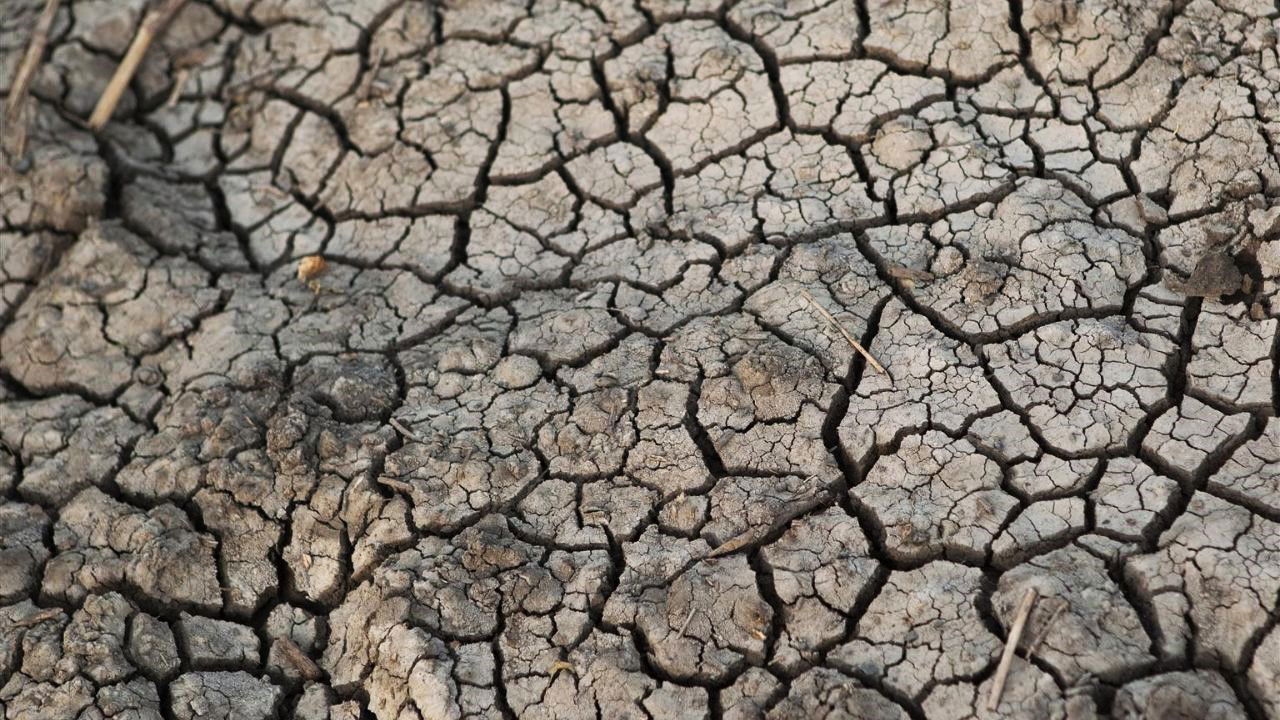 Parched land showcasing the severe depletion of groundwater levels (Representational Image Source: UN Water)