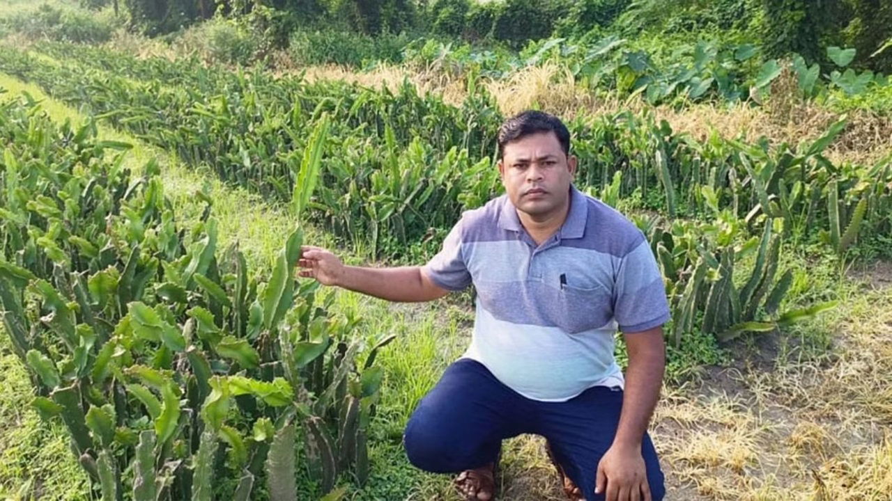 Akbar Ali's success stems from his dedication to modern, sustainable farming techniques.