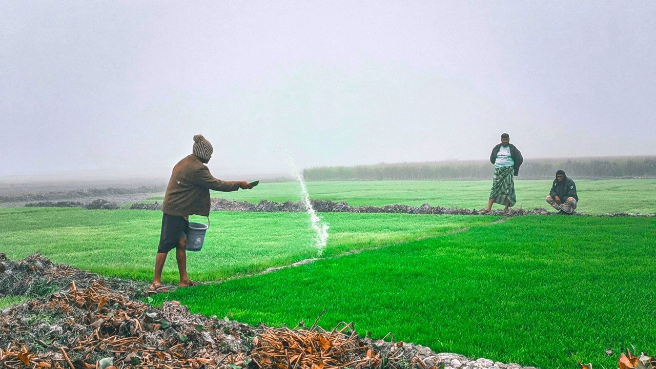 Nitrous oxide, mainly from agricultural sources like fertilizers and manure, is about 270 times more potent than carbon dioxide in warming the planet. (Photo Source: Canva)