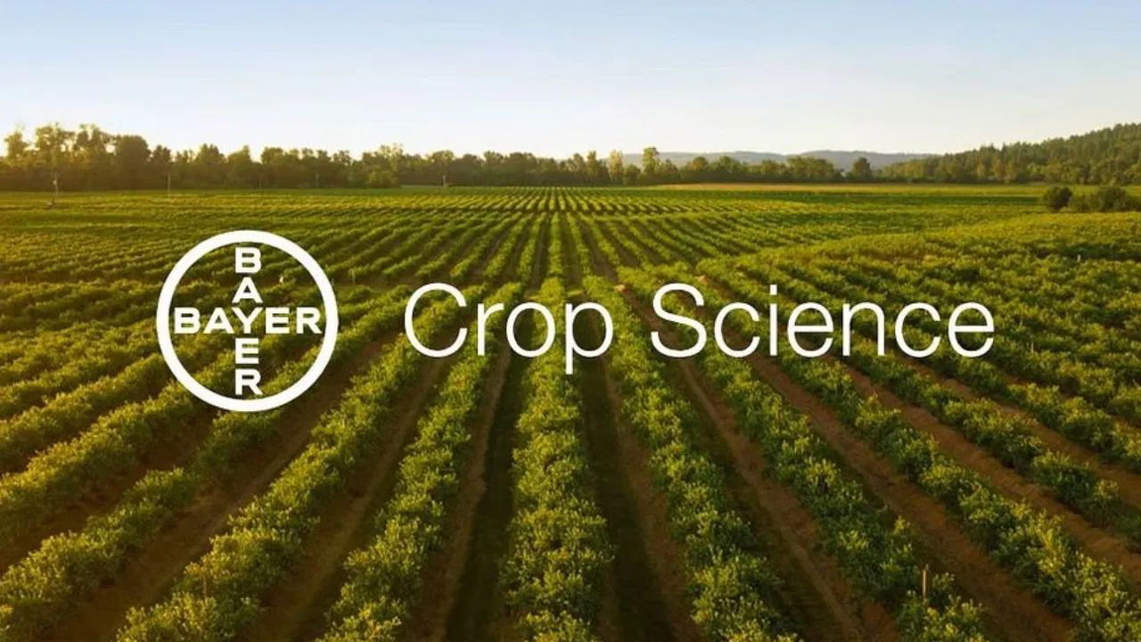 Bayer CropScience (Representational Image)