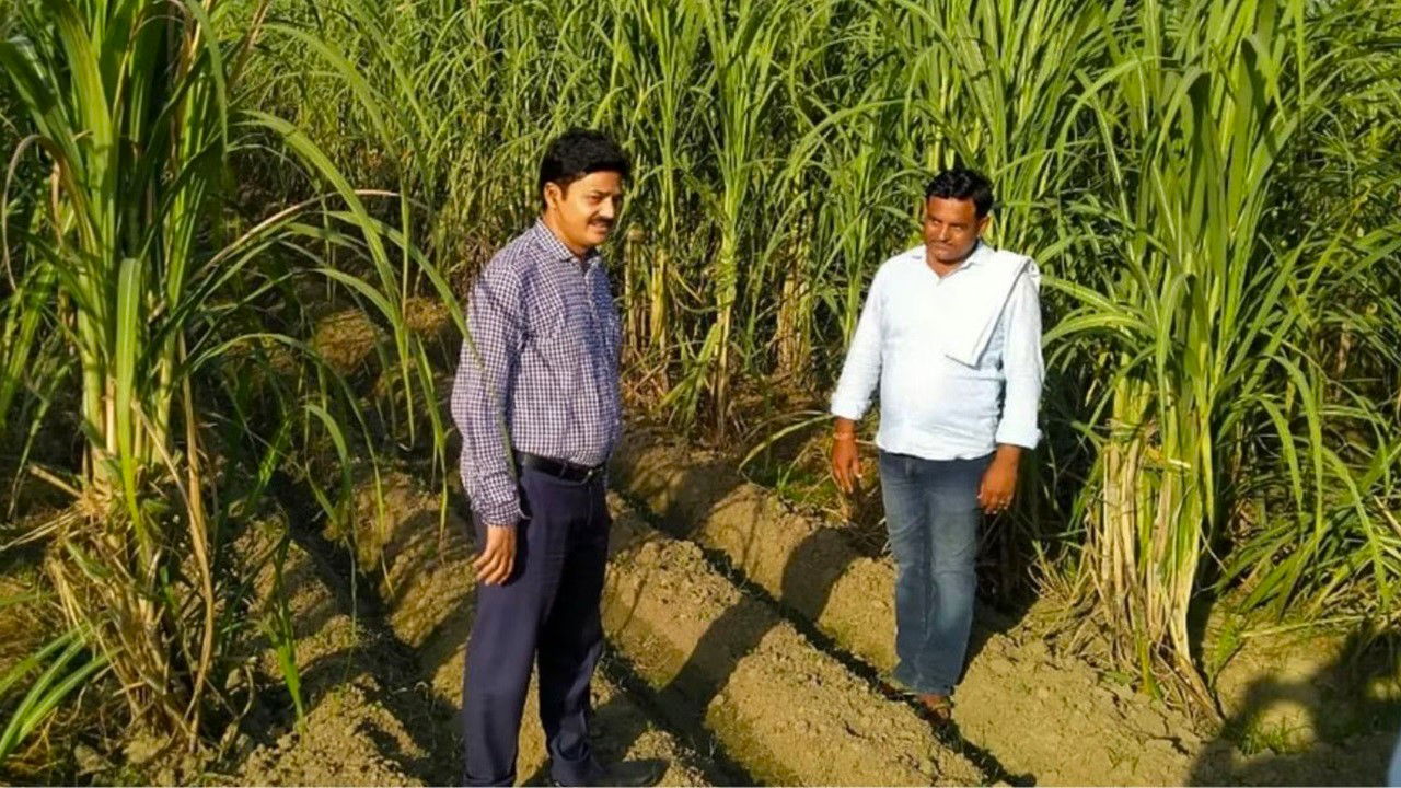 Rakesh boosts sugarcane yield by 35-40% using the trench method.