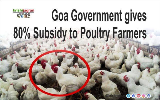 Goa Government gives 80% Subsidy to Poultry Farmers