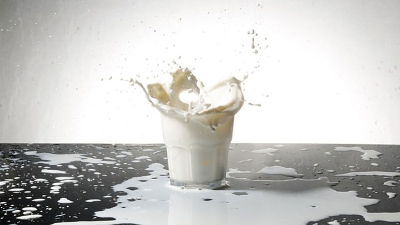 National Milk Day 2024 (Photo Source: Freepic)