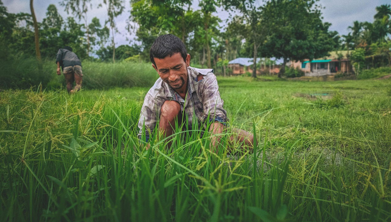 National Mission on Natural Farming to Cover 1 Crore Farmers, Promoting Sustainable Agricultural Practices (Photo Source: Pexels)