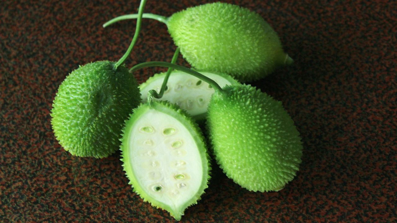 Spine Gourd (Representational Image Source: Pexels)