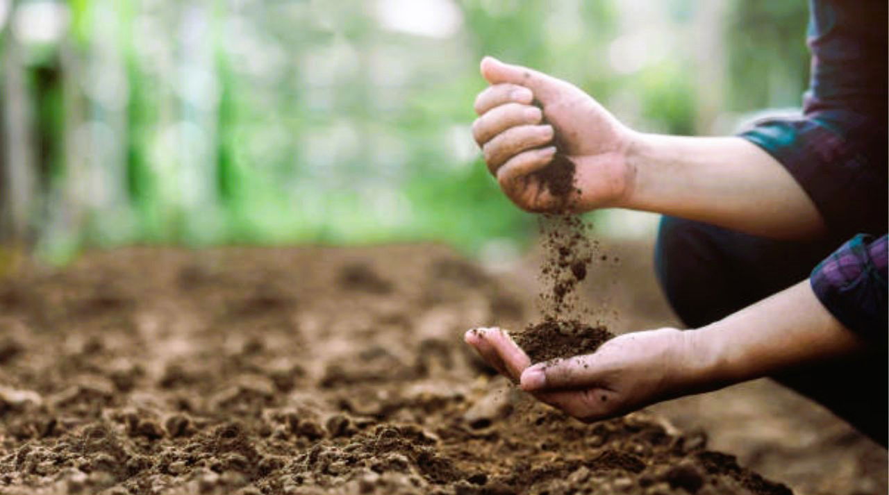 Soil (Representational Image Source: Pexels)