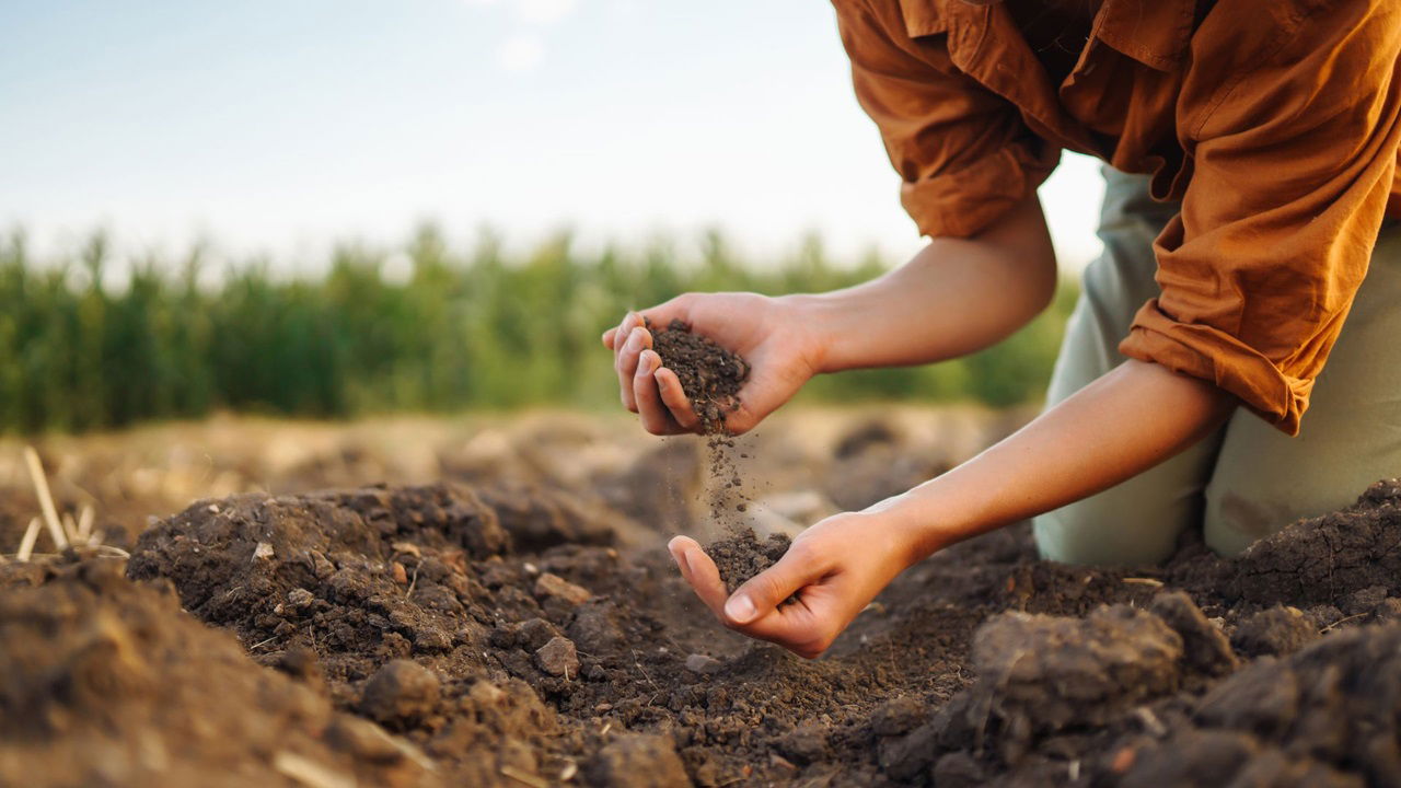 Billions of tonnes of topsoil vanish yearly due to overgrazing, deforestation, and pollution. (Photo Source: Canva)