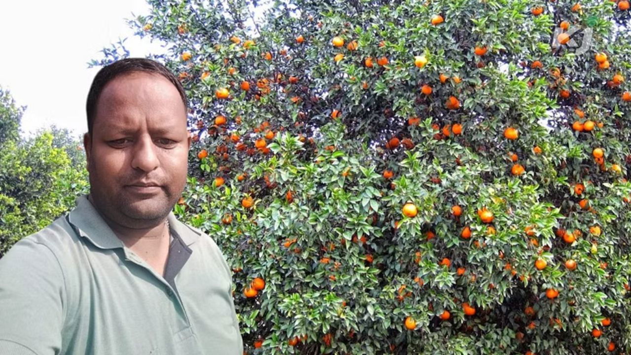 Stinnu Jain, a progressive Kinnow farmer from Abohar, Punjab