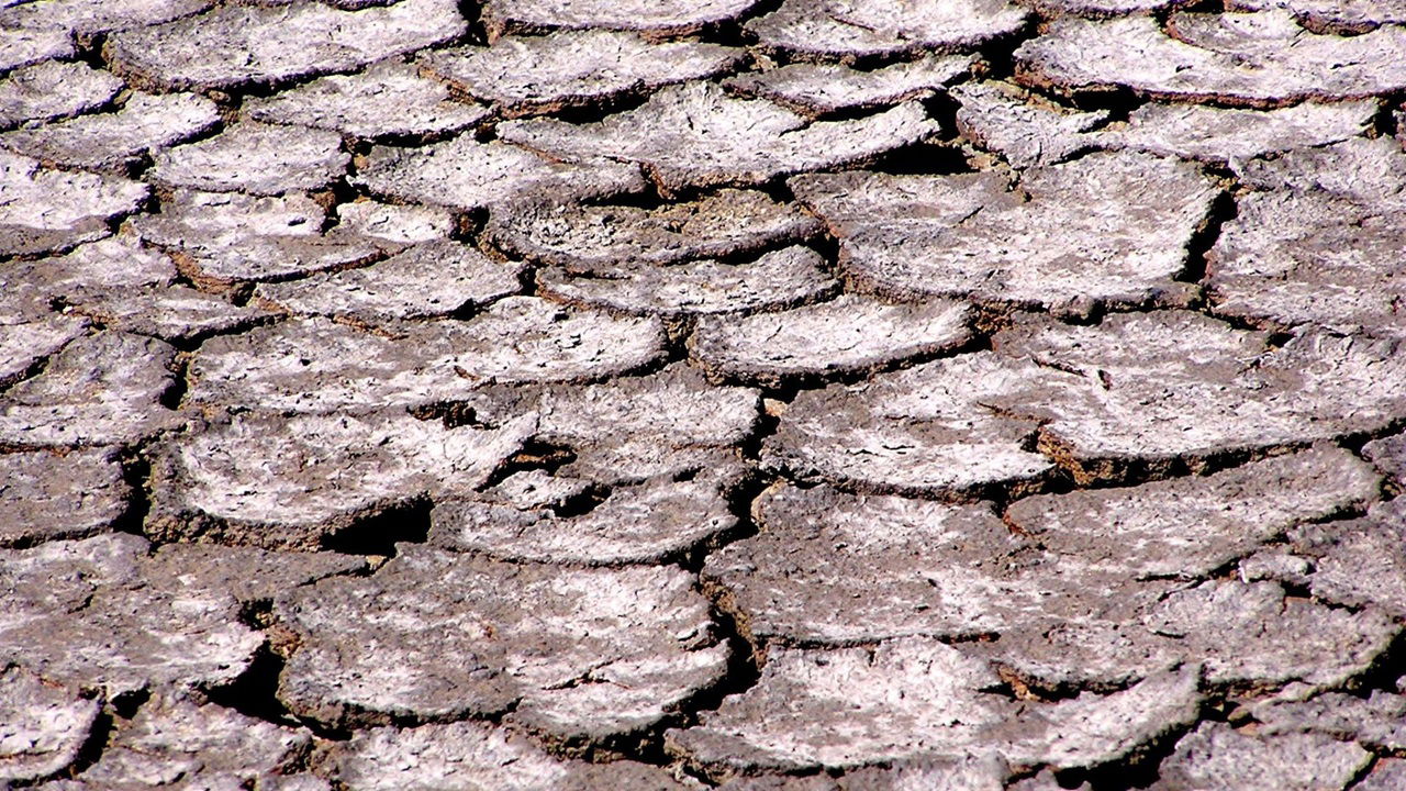 Currently, ten countries, including Afghanistan, Australia, and China, account for 70% of the world's salt-affected soils. (Photo Source: Canva)