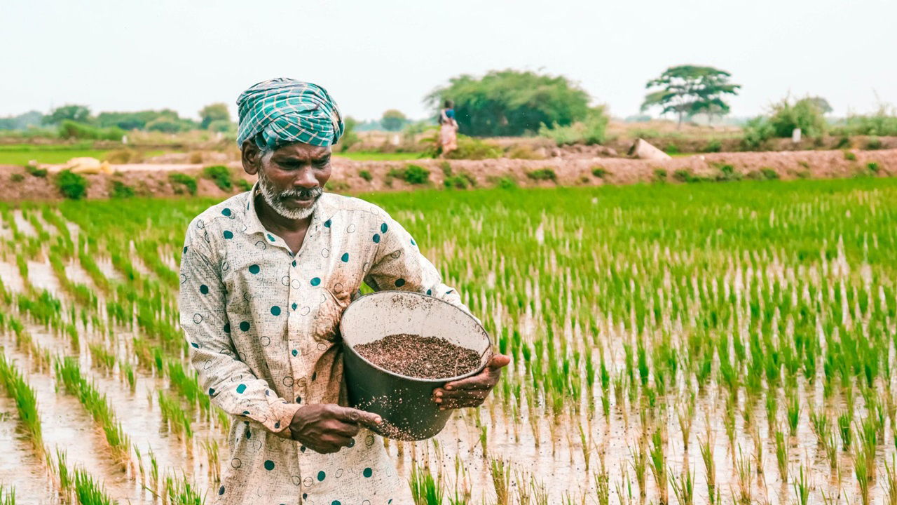 UP-AGREES project aims to enhance agricultural value chains and promote private sector involvement, utilizing $15 million in private financing. (Photo Source: Pexels)