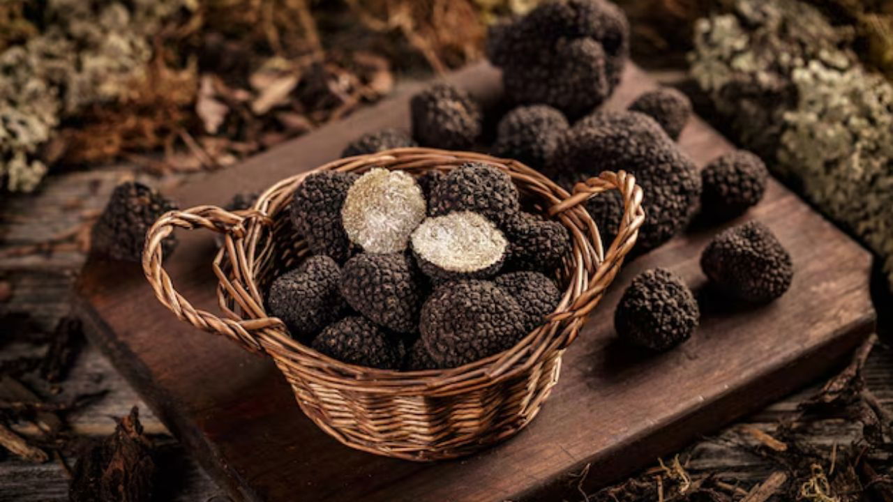 Truffle Mushrooms (Photo Source: Pexels)