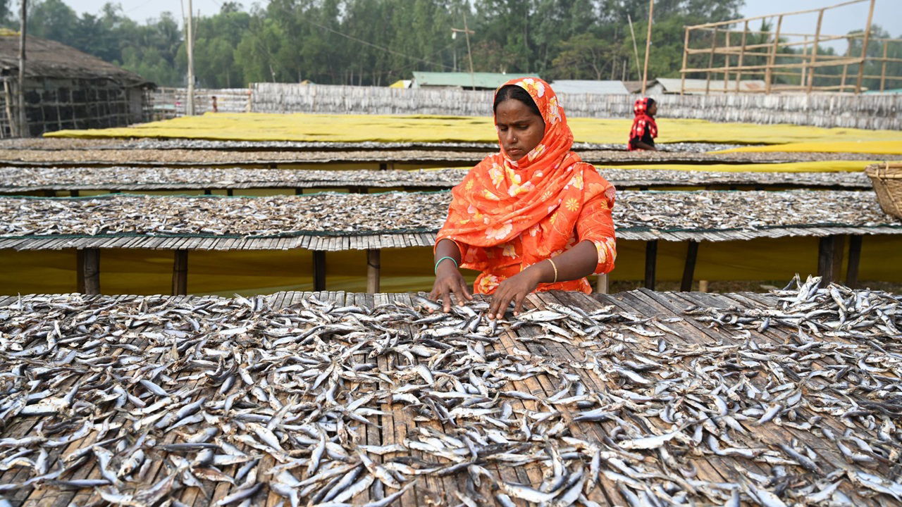 These efforts aim to improve livelihoods, enhance food security, and contribute to the socio-economic growth of rural populations. (Photo Source: Canva)