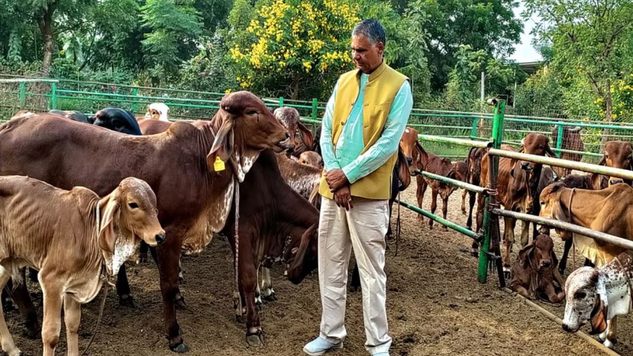 Surendra Awana, an innovative progressive farmer from Rajasthan in his cowshed