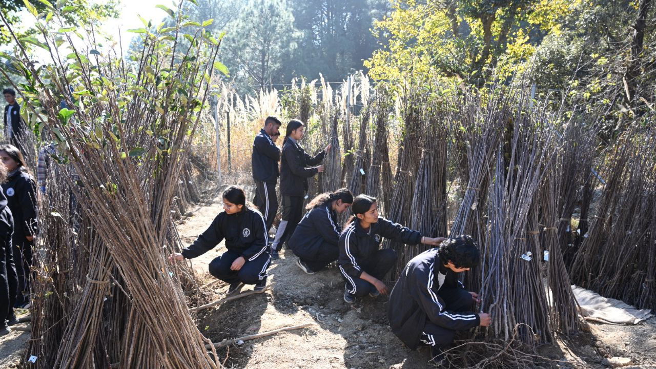 ELP Students assisting in plants sale