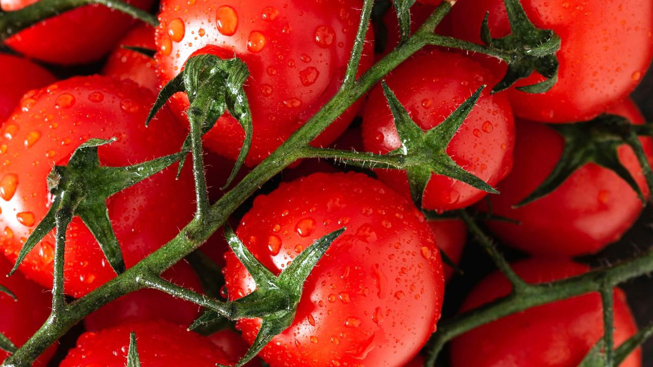 Representational Image of Beefsteak Tomatoes (Source: Pexels)