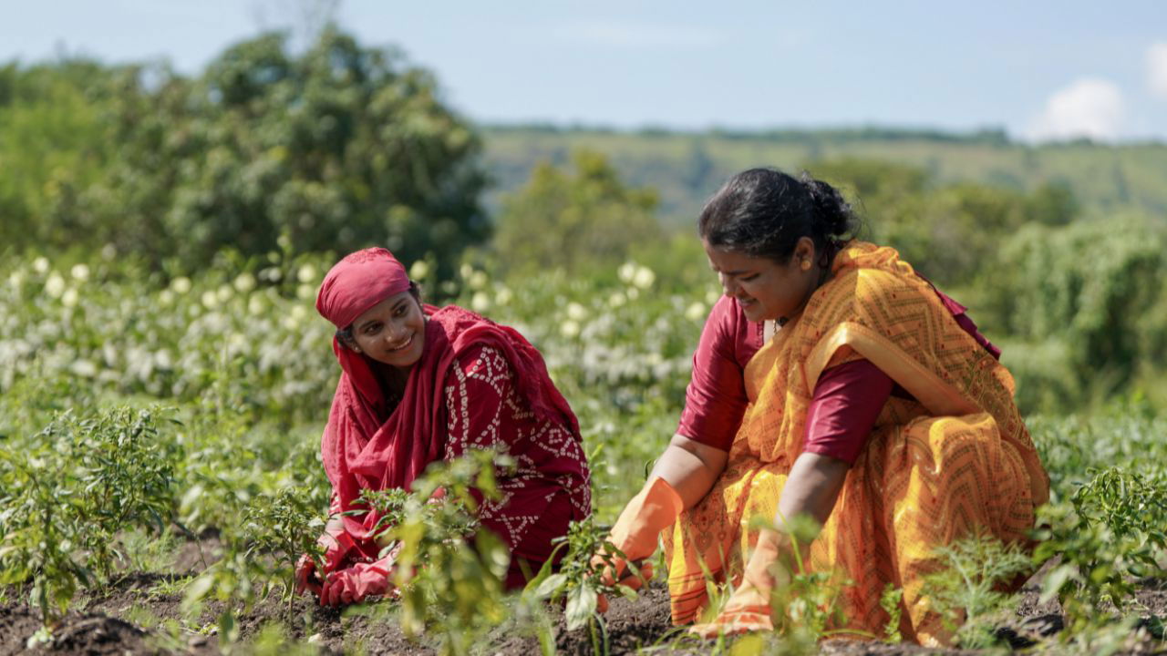 Women farmers are the backbone of global agriculture, making up 43% of the labor force and producing 80% of food in developing countries. (Photo Source: Canva)