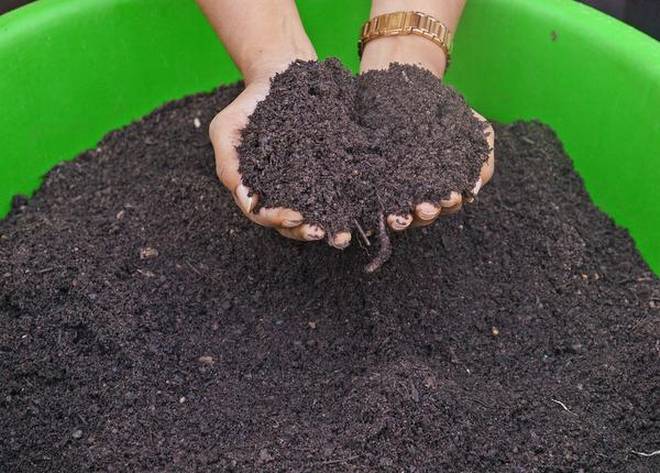 how-to-prepare-organic-manure-at-home