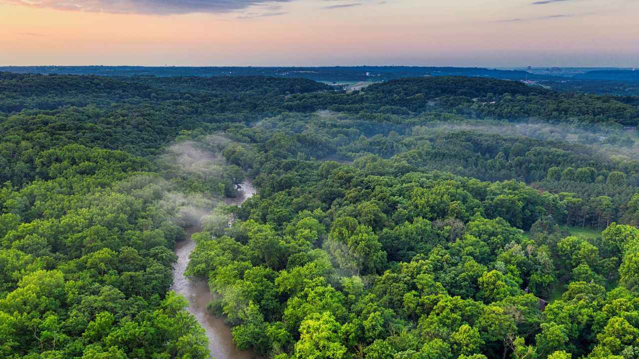 India’s total carbon stock in forests has risen to 7,285.5 million tonnes, showing an 81.5 million tonnes increase since the last assessment. (Photo Source: Canva)