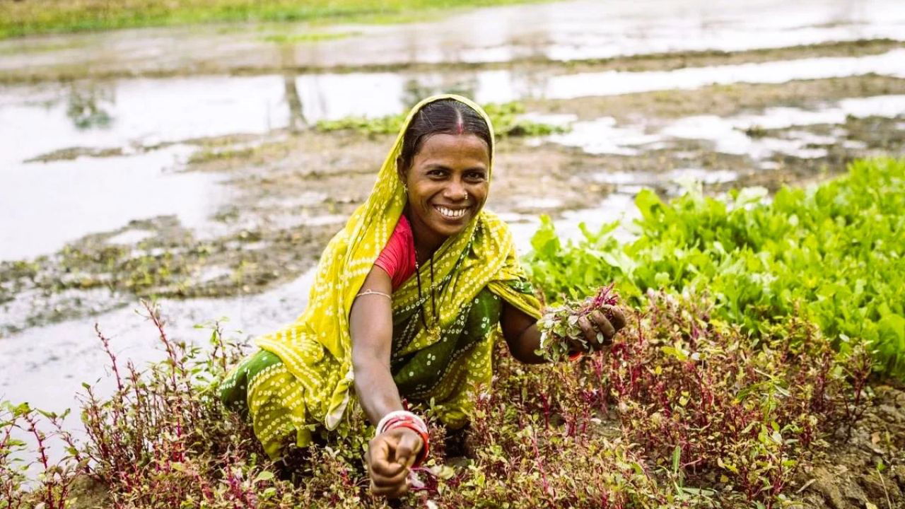 Women farmer in field (Photo Source: UNDP)