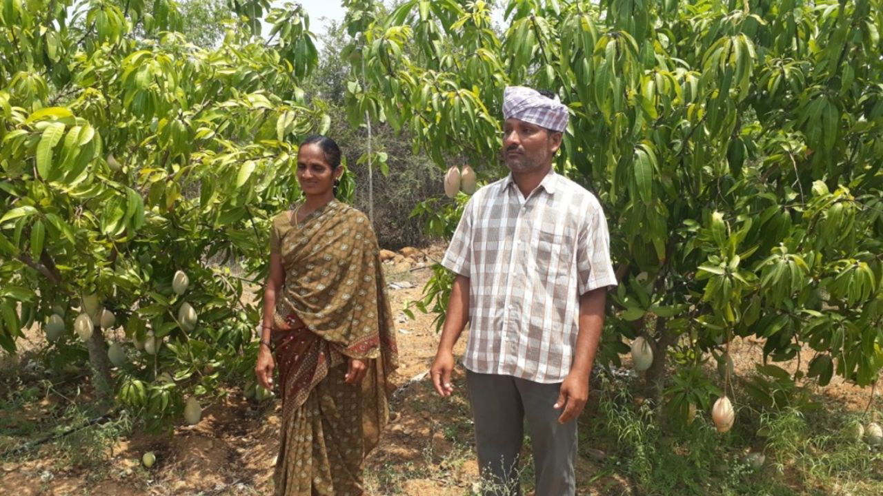 Chenna Reddy, a progressive farmer from Bangalore