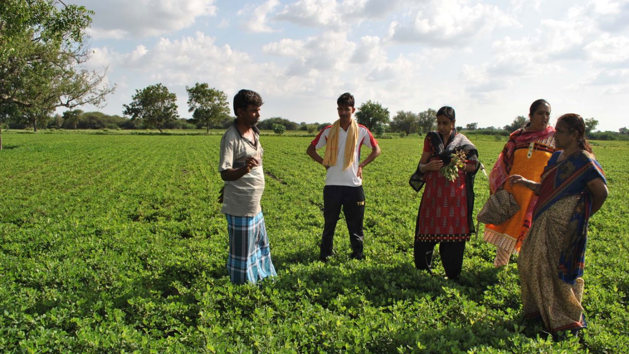 Malleshappa Gulappa Biserotti in his field, along with fellow farmers