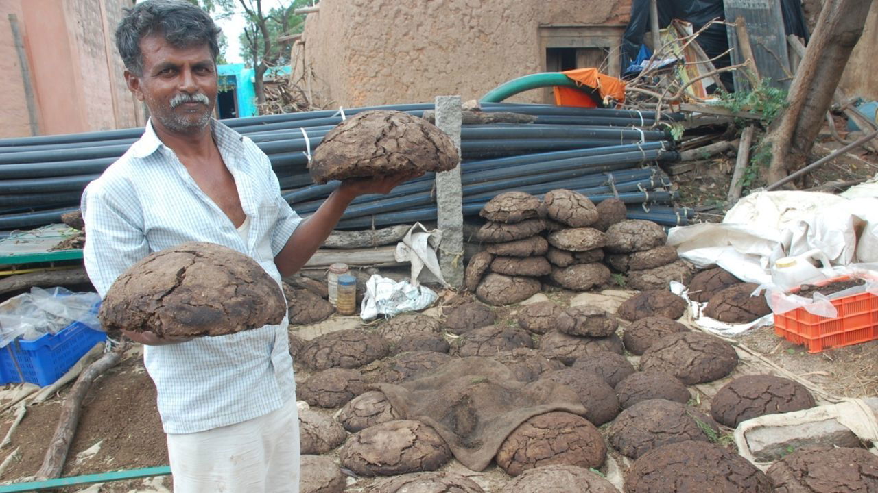 Malleshappa Gulappa Biserotti carrying Ghana Jeevamrutham in his hands