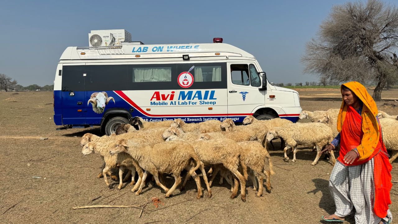 Avi MAIL, mobile lab ensures the hygienic collection, evaluation, and processing of semen from elite rams within a sterilized environment. (Photo Source: ICAR)