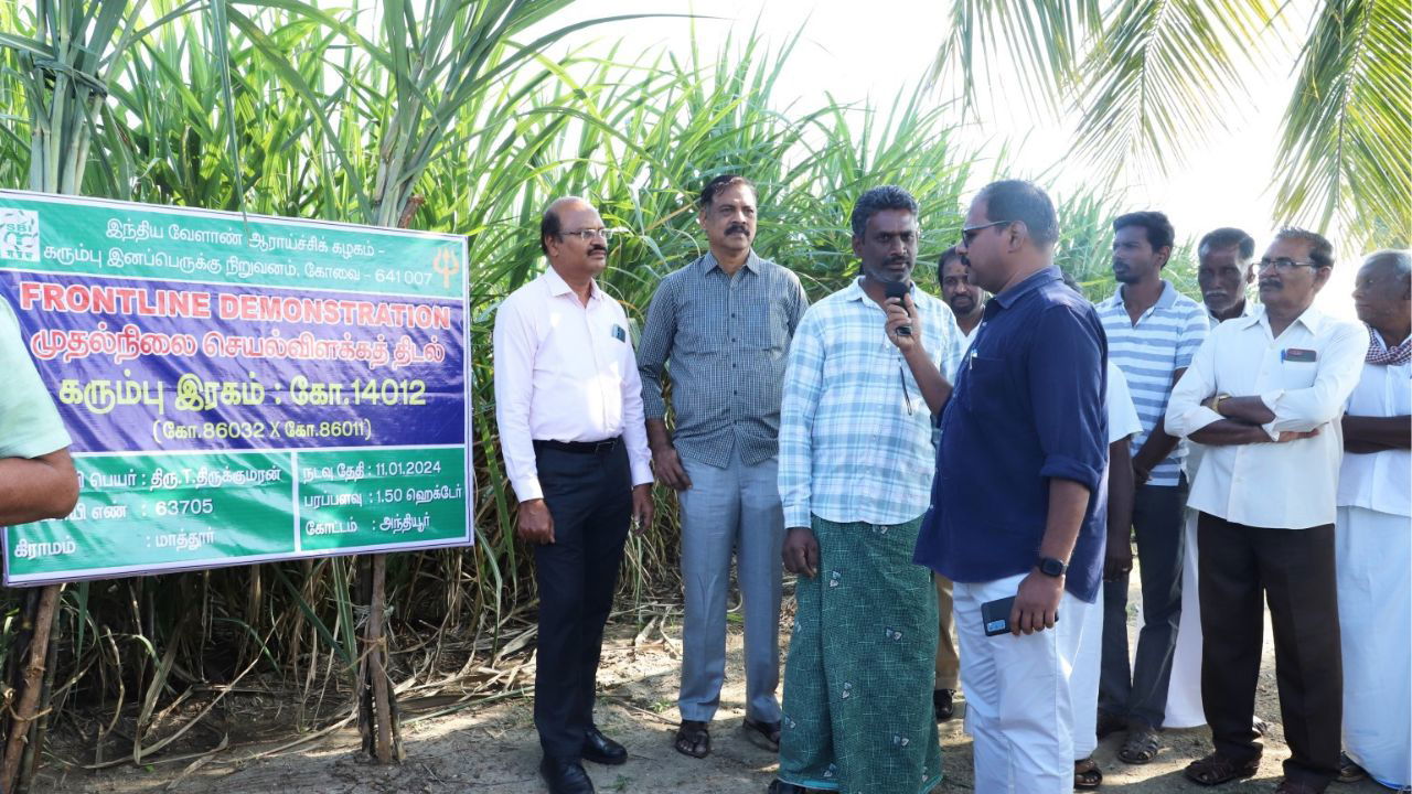 Glimpse of 'Field Day' training in Mathur village, Anthiyur, Erode