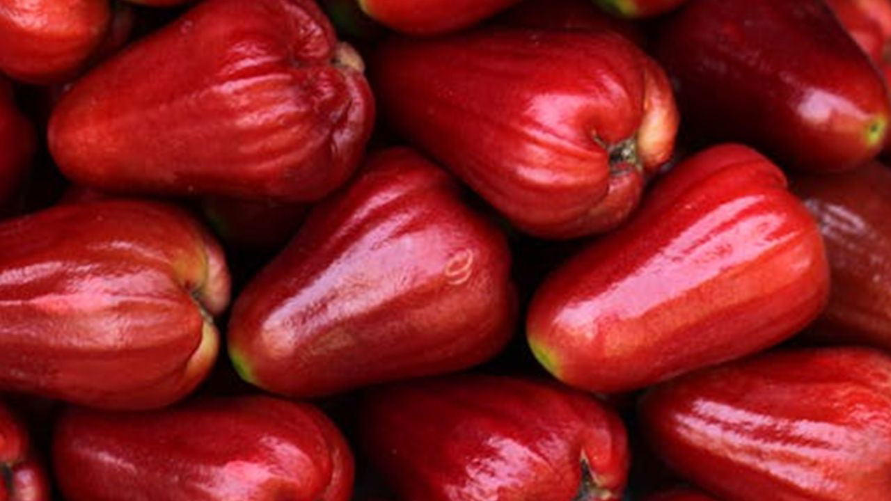 Malay rose apple (Representational Image Source: Pexels)