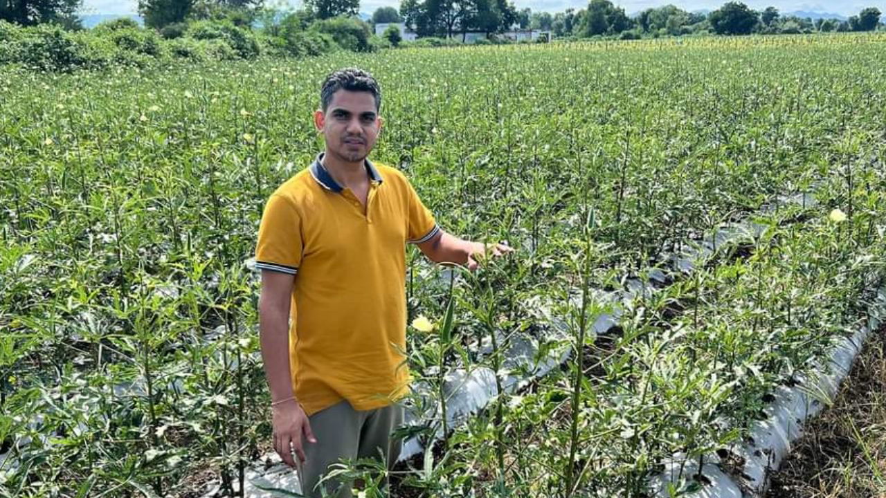 Lekhram Yadav in his Okra field