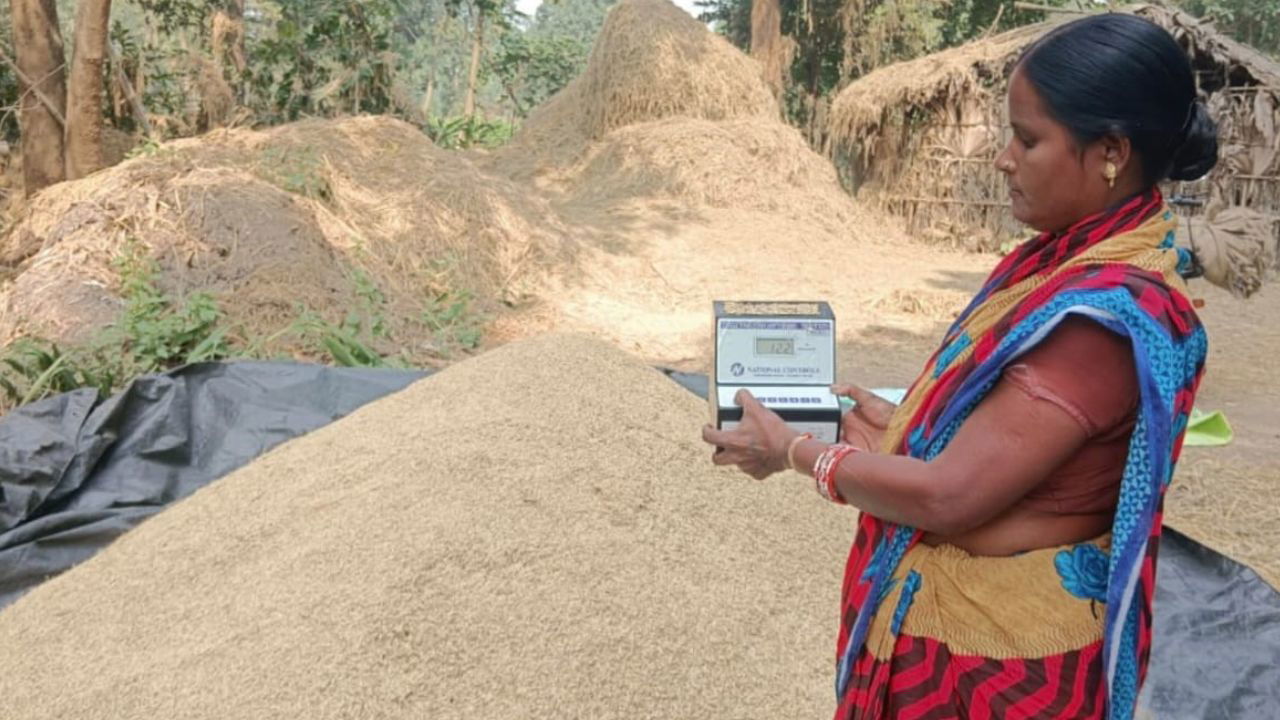 The women-led W-FPC initiative by IRRI in Balangir, Odisha empowers smallholder women farmers to produce quality seeds and adopt better farming practices.