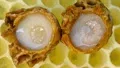 Royal Jelly: A Comprehensive Guide to Its Production, Health Benefits, and Economic Potential