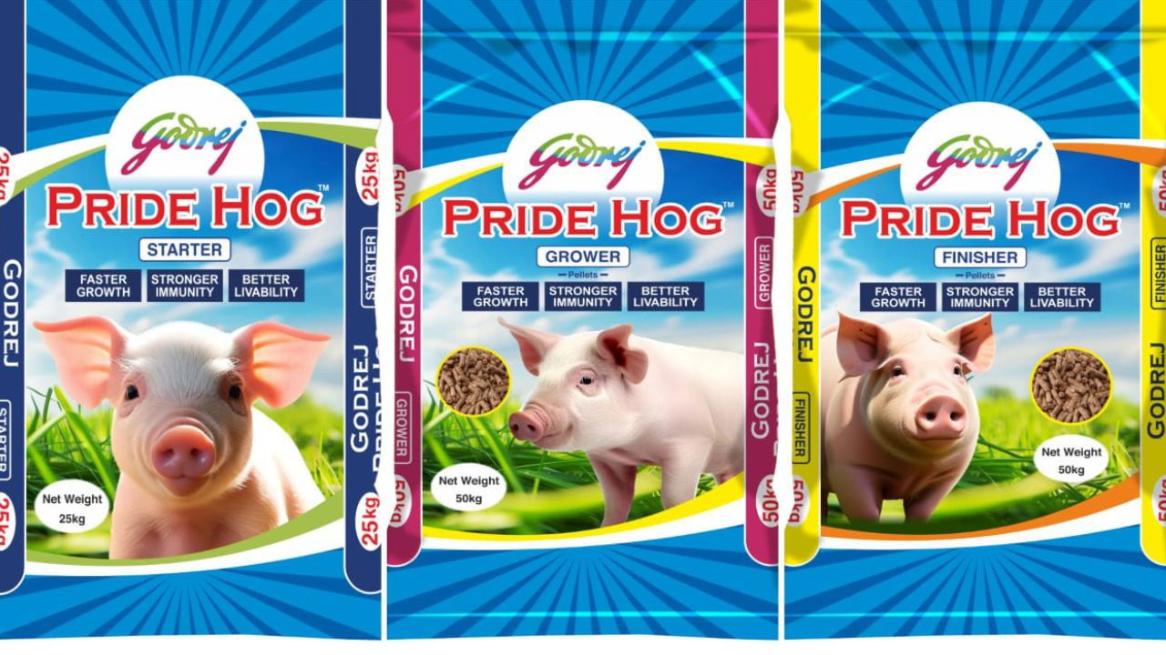 Godrej Pride Hog