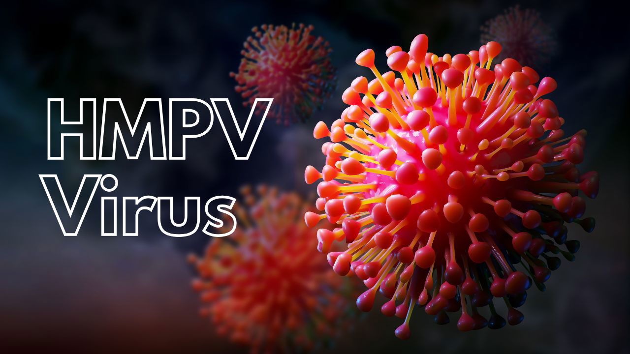 Representational image of Human Metapneumovirus (HMPV) (Photo Source: Canva)