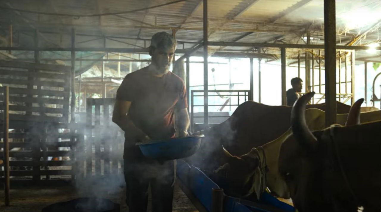 Yogesh Bhutada in his cowshed