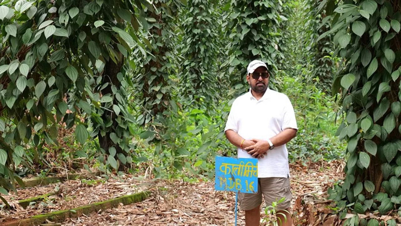 Farmer scientist Dr. Rajaram Tripathi, developed MDBP-16, a black pepper variety ideal for low-rainfall areas, producing four times the yield of average varieties.