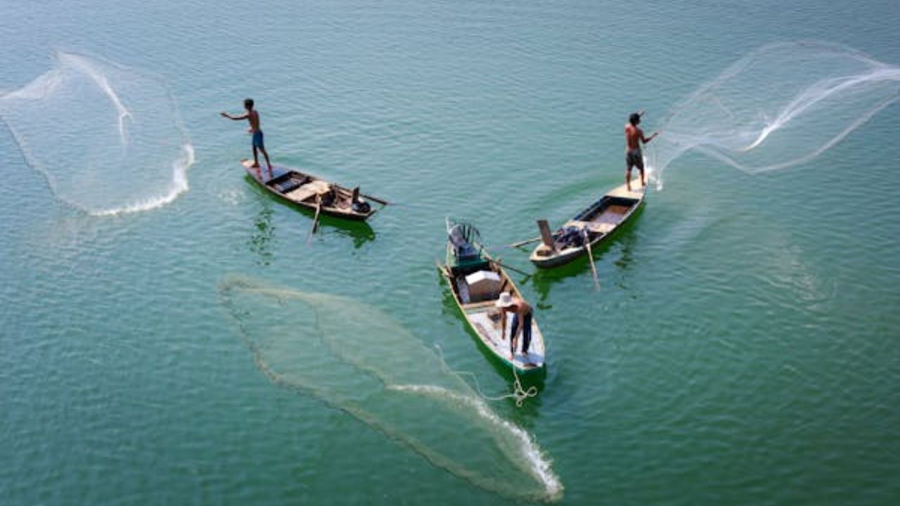 Fishing Community catching sea food (Representational Image Source: Pexels)