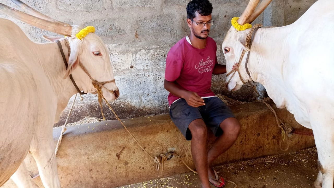 Sagar Hattikal started his farming journey with just two desi cows and is now earning well