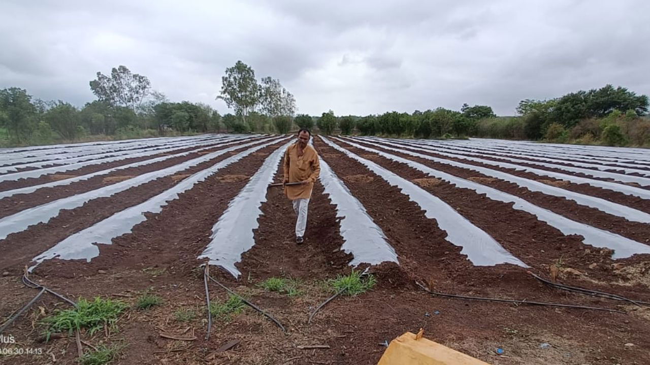 Radheshyam Parihar applying mulch to his farm